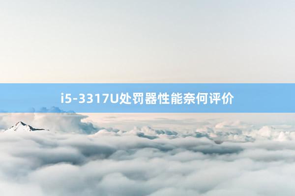 i5-3317U处罚器性能奈何评价